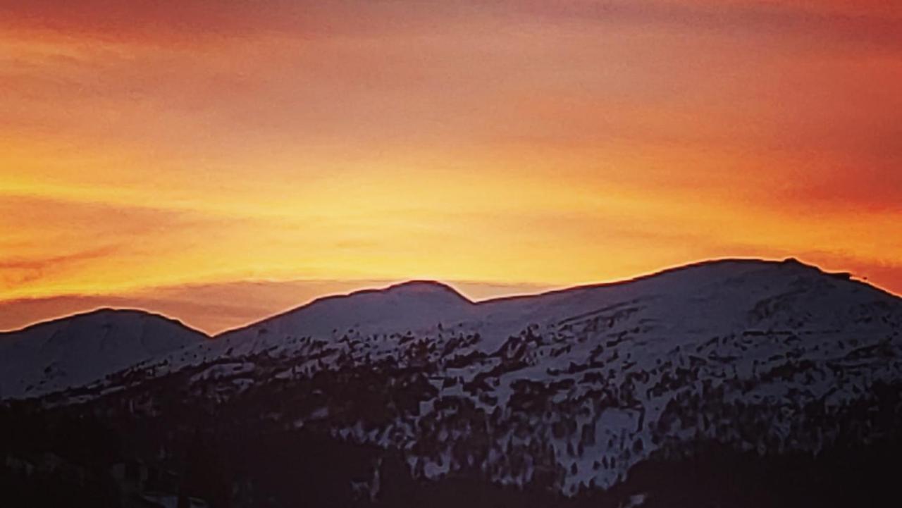 Mycozykoma Schmirn Bagian luar foto