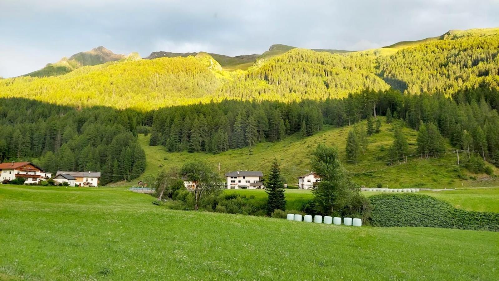 Mycozykoma Schmirn Bagian luar foto