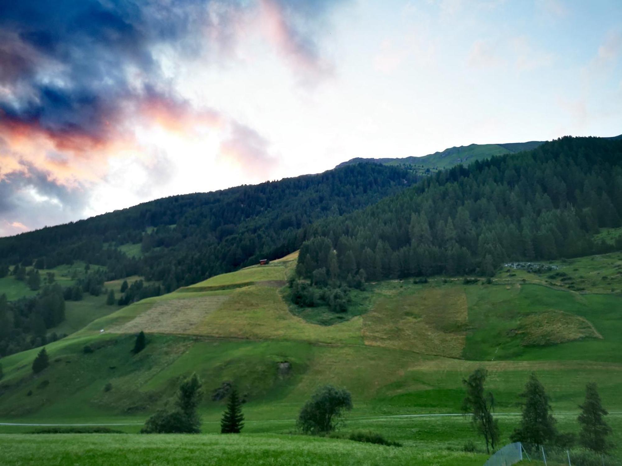 Mycozykoma Schmirn Bagian luar foto